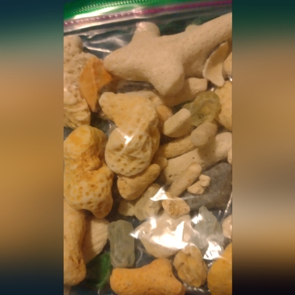 Corals and Beach Gems - Picture 4 of 7